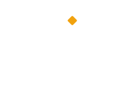 new project 2.webp